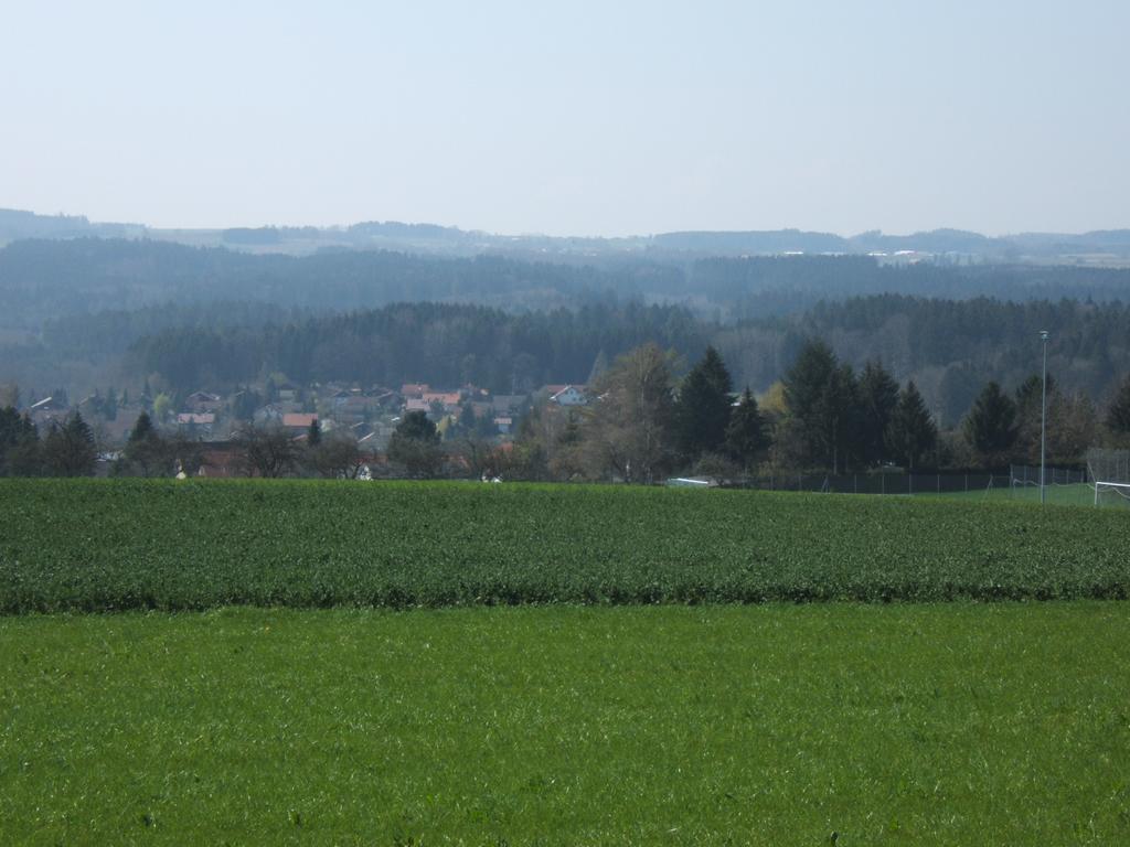 Ferienwohnung Schwahn Kleinschonach エクステリア 写真